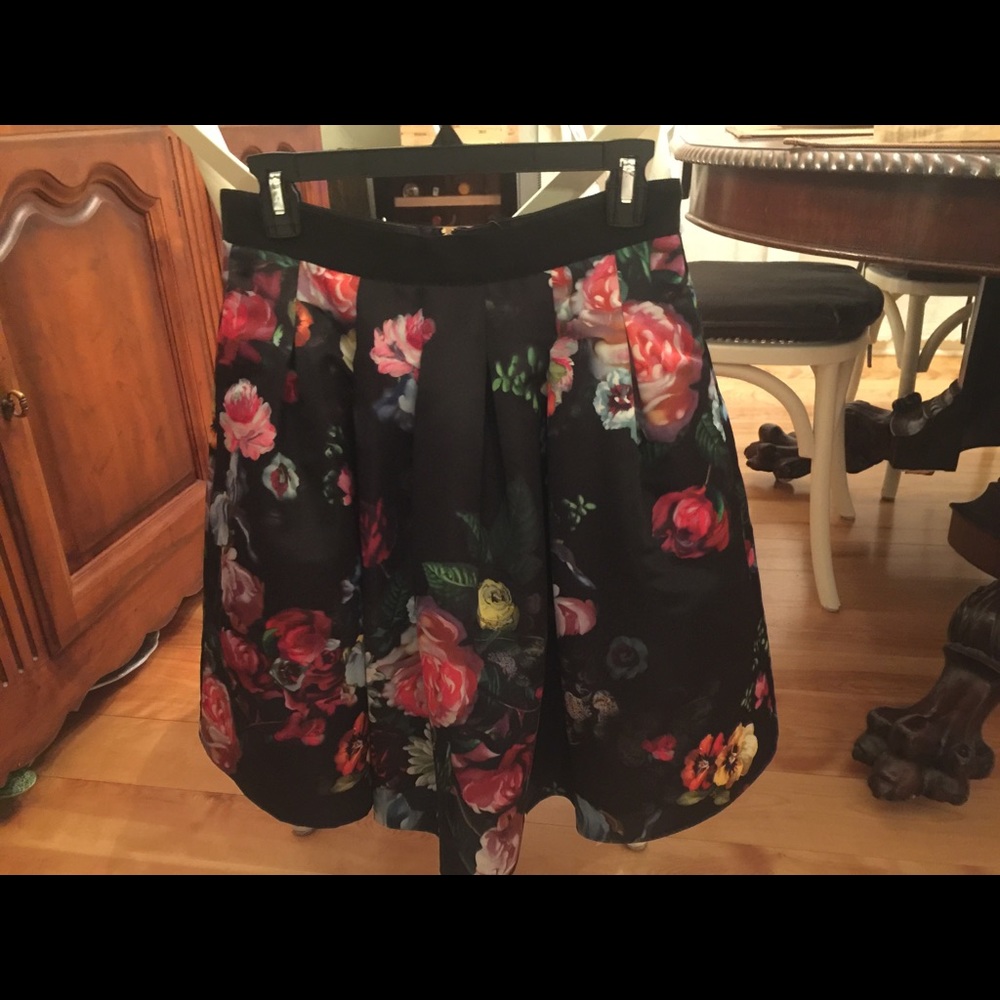 Ted Baker Oil Painting Full Skirt size 2